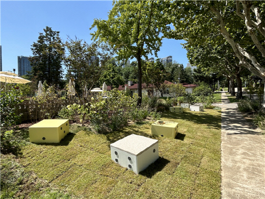 용산어린이정원에 조성된 내가 그린 주사위 정원. 서울시 제공.